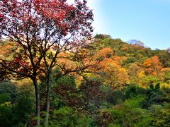 牯牛降秋景-祁门牯牛降观音堂风景区