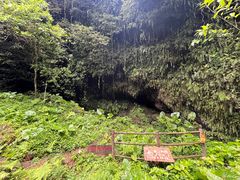 -海口火山口国家地质公园