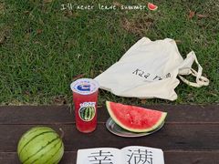 -荔湾湖公园