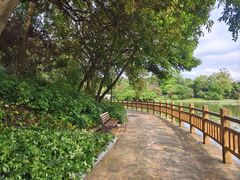 -雀儿山公园