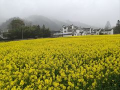 -绩溪龙川景区