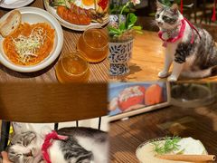 -echoes coffee回响咖啡(888街店)