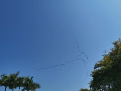 -厦门园林博览苑