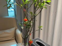 -荔湾足浴·按摩·SPA会所(龙华店)