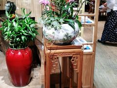 -静颐茶馆·素食(龙华店)