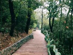 -石燕湖生态旅游景区