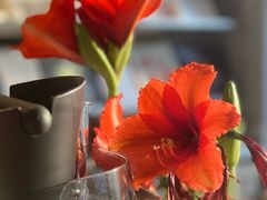 -CENCHI 汵奇咖啡(东四店)