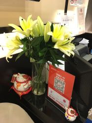 -史云逊养发中心