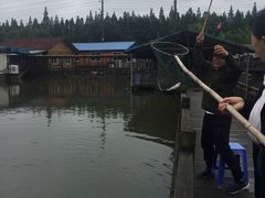 -东方绿舟景区