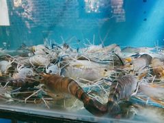 -Thai Basil罗勒叶泰式餐厅(时代天街店)