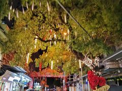 -溪岸路花鸟市场