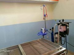 -瑞派福兴宠物医院犬猫全科·骨科·中西医结合(河东店)