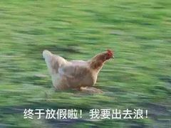 -星巴克(重庆火车北站北广场II店)