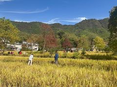 -塔川景区
