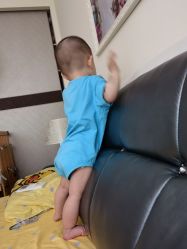 -龙文宝贝上门婴儿理发满月剃胎毛(普陀店)
