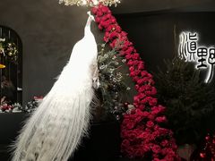 -滇野云南野生菌餐厅(陕西南路店)