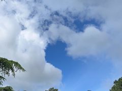 -泰山风景名胜区-普照寺