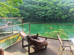 -龙道沟景区