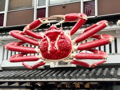 -蟹道乐(道顿堀本店)