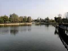 -四海公园(南山区)