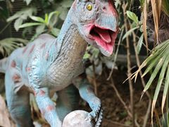 -呀路古热带植物园