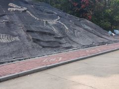 -哈尔滨北方森林动物园