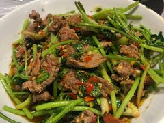 香菜牛肉-壹盏灯(惠农店)