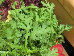 -千牛将·鲜牛肉火锅(开元路店)