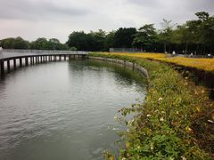 -海珠湖公园