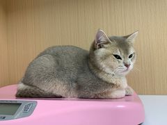 -谐和贝康宠物医院24小时·宠保定点(急重症转诊中心)