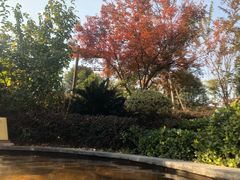 -溧阳天目湖天沐温泉