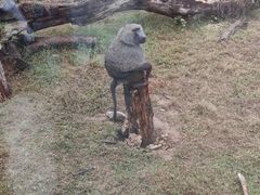 -济南野生动物世界