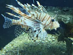 -海合安天津极地海洋公园