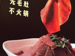 -九码头重庆毛肚火锅(棠岗店)