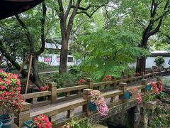 -上海醉白池公园