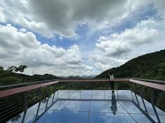 -阳台山森林公园