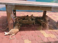 -大连森林动物园