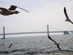 -星海广场
