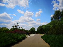 -永定河休闲森林公园