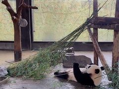 -野生动物园-停车场