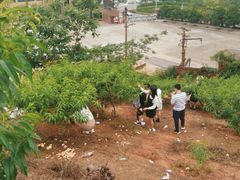 -桃源山庄·水蜜桃采摘·柴火鸡·烧烤团建(龙泉山店)