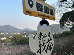 -香雪海