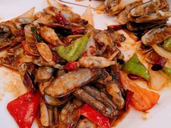 -金蝉食府(维吉奥广场店)