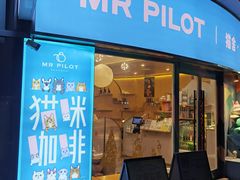 门面-飞行喵MR PILOT|猫舍·猫咖(静安大融城店)