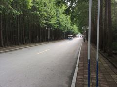 -日照海滨国家森林公园