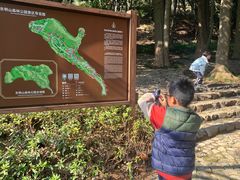 -东明山森林公园