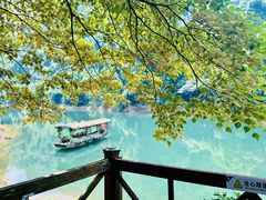 -鼎湖山风景区