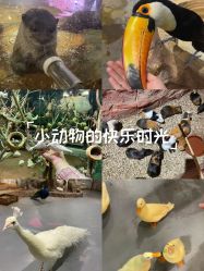 -Zoolung Zoolung动物主题公园(海信广场店)