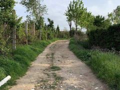 -大锅强·蒸海鲜青岛菜(吾悦广场店)