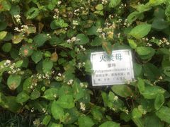-广州神农草堂中医药博物馆